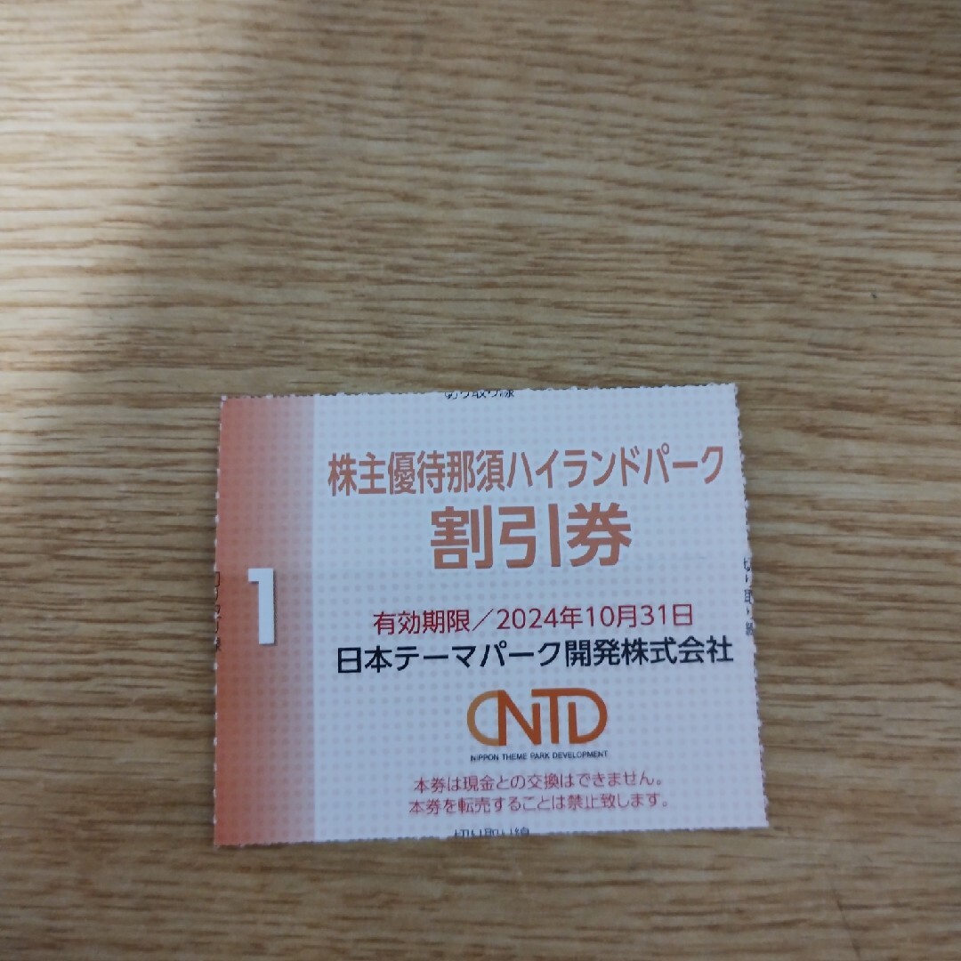 日本駐車場開発　株主優待　那須ハイランドパーク割引券 チケットの施設利用券(遊園地/テーマパーク)の商品写真