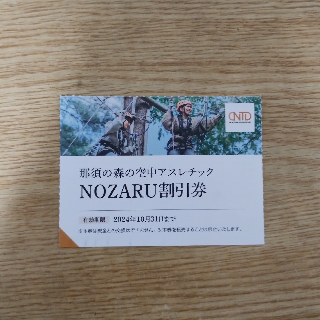 日本駐車場開発　株主優待　那須の森空中アスレチックNOZARU割引券 チケットの優待券/割引券(その他)の商品写真