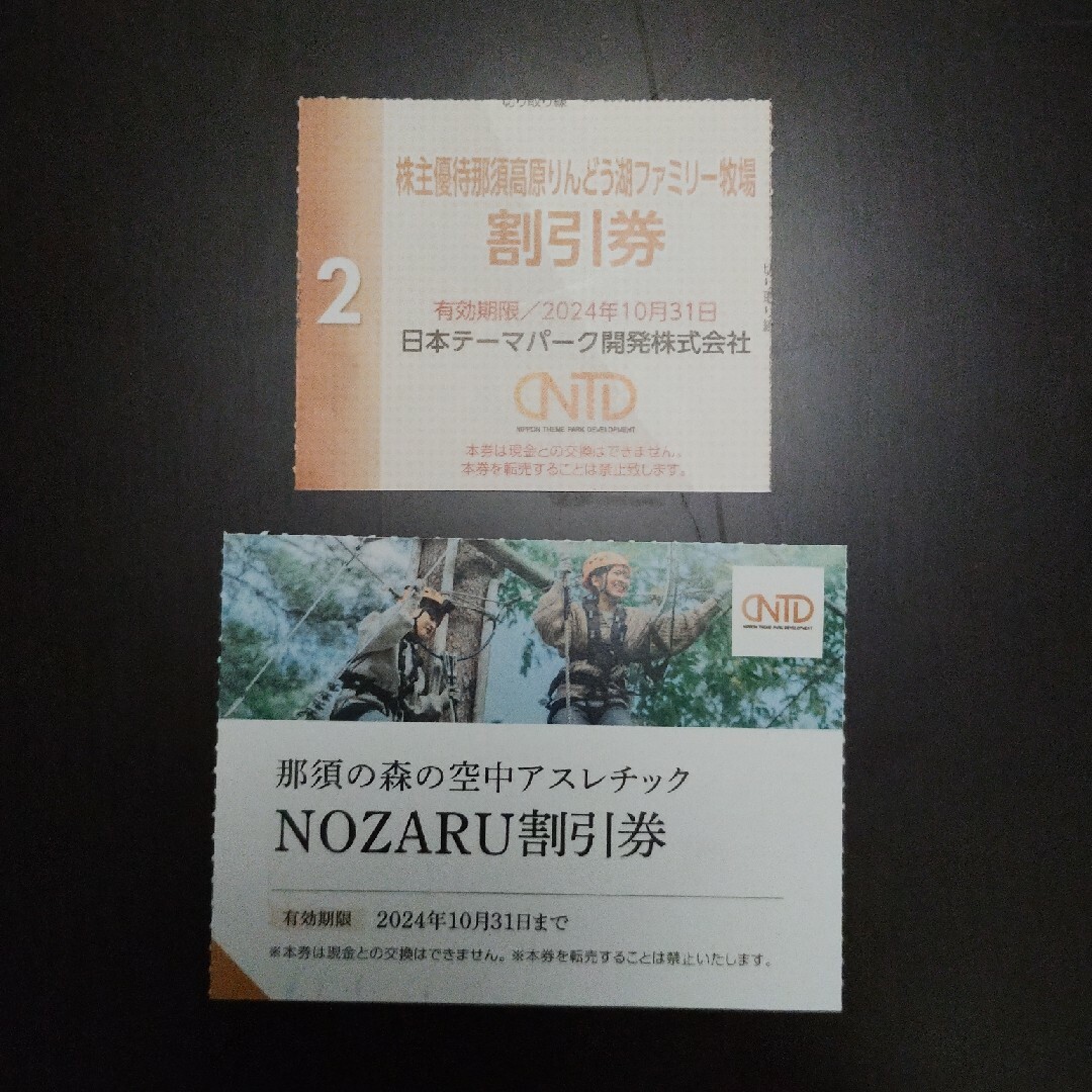 日本駐車場開発　株主優待　二枚セット チケットの施設利用券(遊園地/テーマパーク)の商品写真