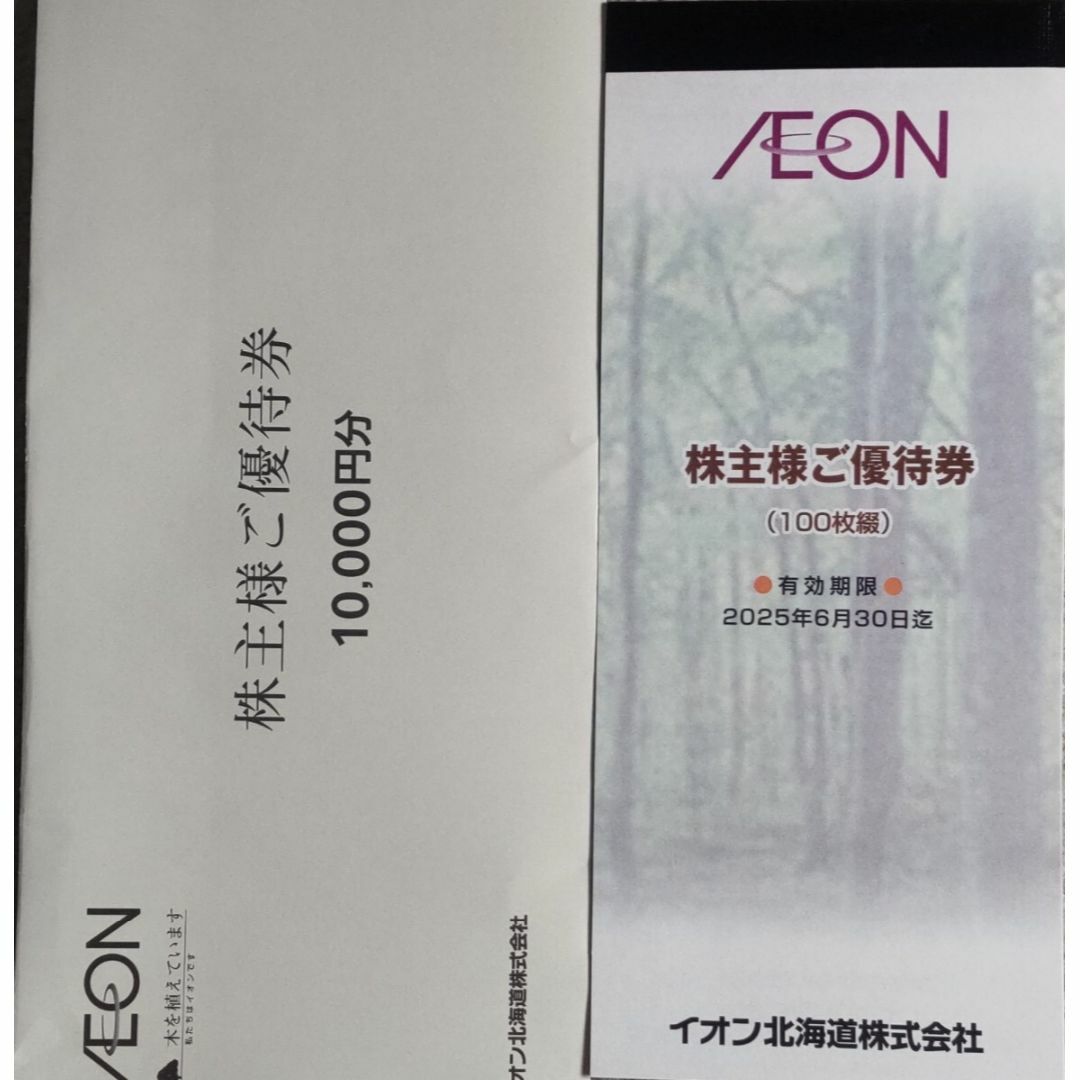 最新 [ﾗｸﾏﾊﾟｯｸ] イオン北海道 株主優待券 10000円分 チケットの優待券/割引券(ショッピング)の商品写真