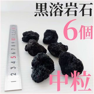 【希少】黒溶岩石 6個【中粒】☆アクアリウム、テラリウム、コケリウムに最適(アクアリウム)