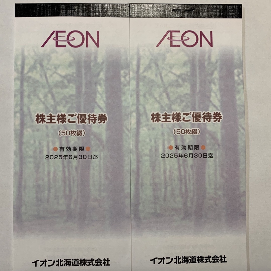 AEON(イオン)のイオン北海道株主優待　10000円分 チケットの優待券/割引券(ショッピング)の商品写真