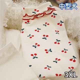 犬服 ペット服 中型犬 春秋冬 さくらんぼふちどりＴシャツ:3XL(犬)