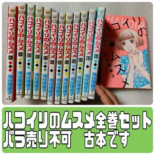 ハコイリのムスメ 13巻　全巻セット　バラ売り不可　古本です(全巻セット)