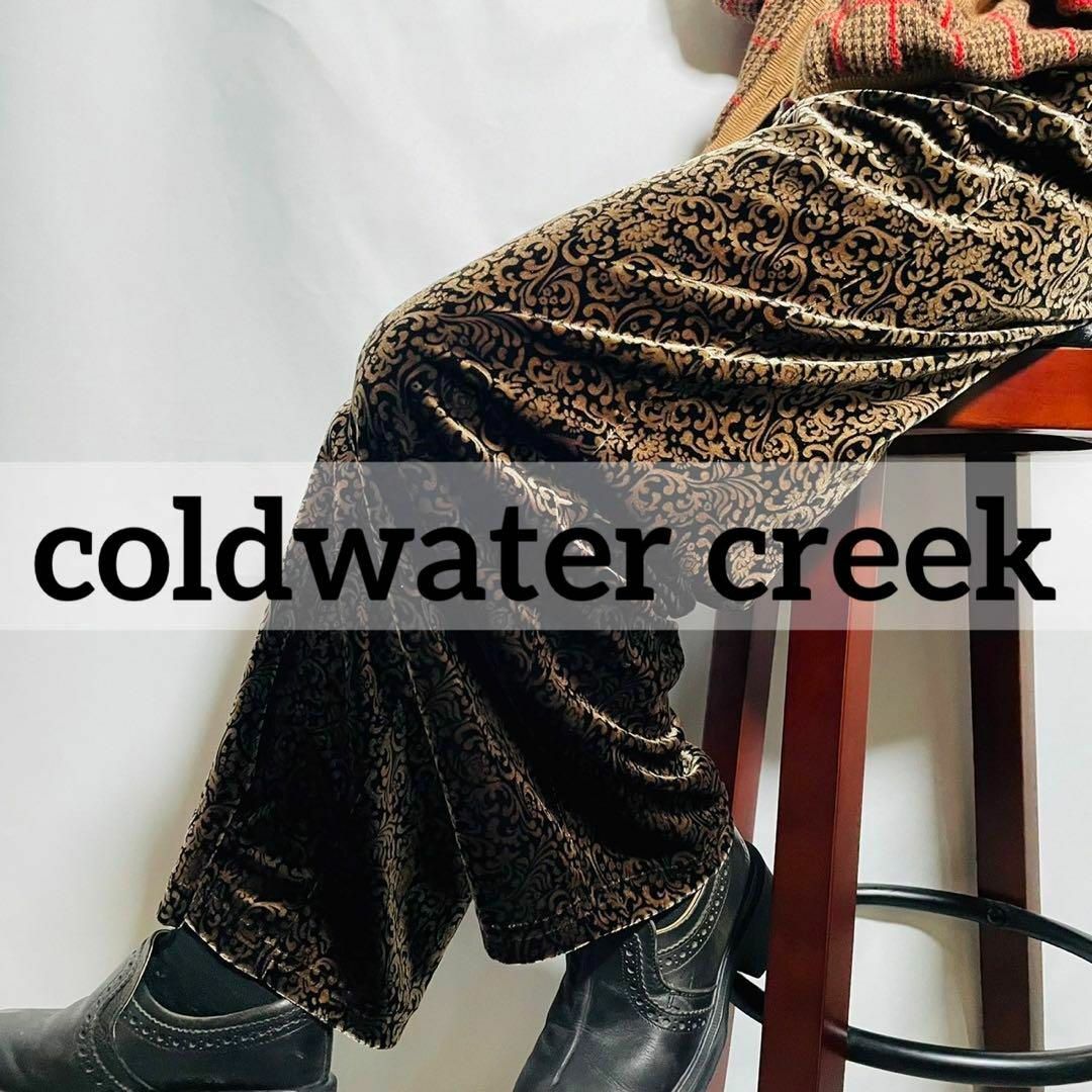 VINTAGE(ヴィンテージ)の美品 coldwater creek 総柄ベロアパンツ ウエストゴム ブラウン レディースのパンツ(カジュアルパンツ)の商品写真