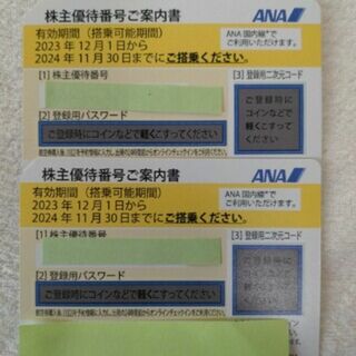 【匿名配送】ANA　株主優待券　計2枚　2024年 11月30日まで(その他)