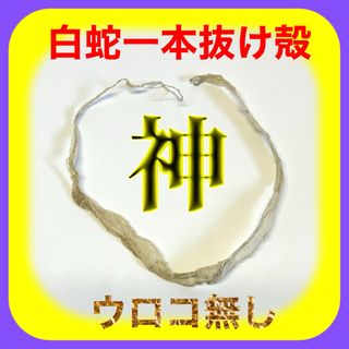 御守り 蛇 白蛇抜け殻 脱皮 一本抜け殻 神 希少 (爬虫類/両生類用品)