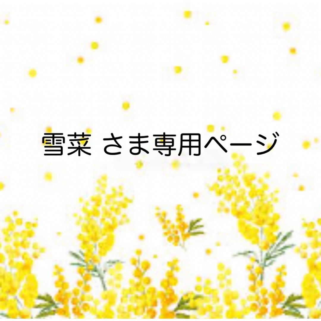 ピクミン キャラマグネッツ 3個セット メモカード3枚付き エンタメ/ホビーのおもちゃ/ぬいぐるみ(キャラクターグッズ)の商品写真