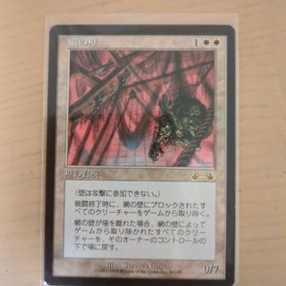 マジックザギャザリング(マジック：ザ・ギャザリング)のMTG　網の壁　日本語版(シングルカード)