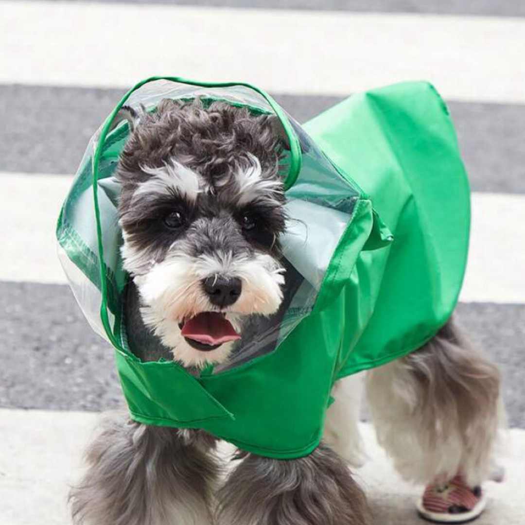 新品 犬 レインコート 雨具 雨がっぱ Mサイズ カエル デザイン グリーン その他のペット用品(犬)の商品写真
