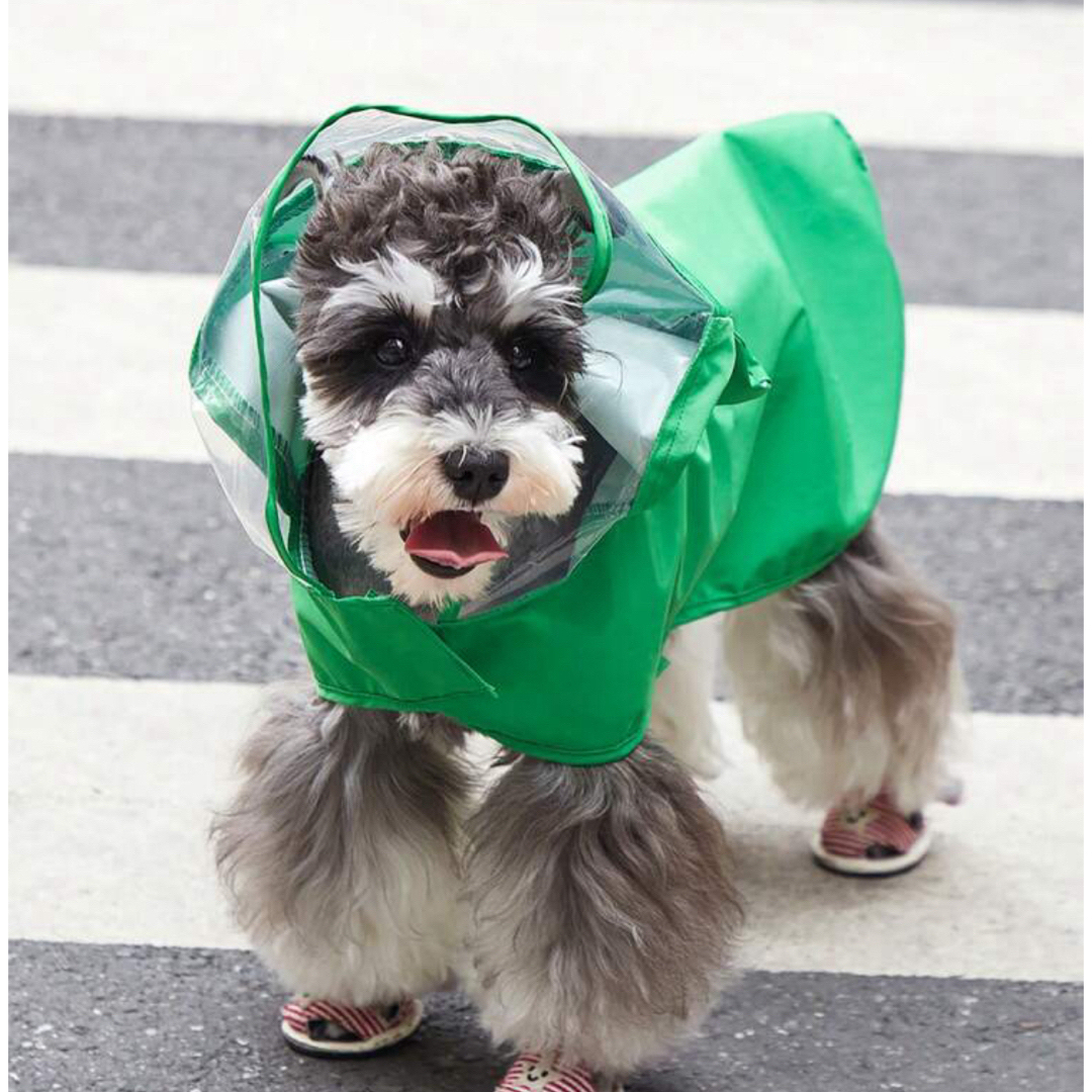 新品 犬 レインコート 雨具 雨がっぱ Mサイズ カエル デザイン グリーン その他のペット用品(犬)の商品写真