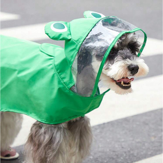 新品 犬 レインコート 雨具 雨がっぱ Mサイズ カエル デザイン グリーン(犬)