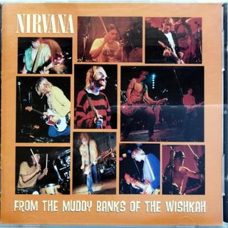 From The Muddy Banks Of The Wishkah(ポップス/ロック(洋楽))