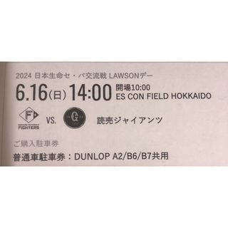 ファイターズ　エスコンフィールド　6月16日　駐車券　1台(その他)