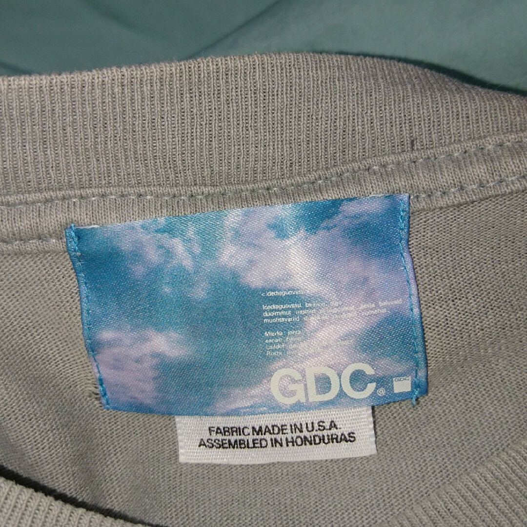 GRAND CANYON(グランドキャニオン)のGDC グランドキャニオン Tシャツ メンズのトップス(Tシャツ/カットソー(半袖/袖なし))の商品写真