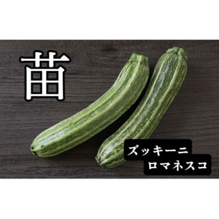 lilikoi様専用◎無農薬◎訳あり!ズッキーニの苗2株&白ピーマン(その他)