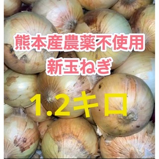 熊本産農薬不使用新玉ねぎ1.2キロ(野菜)