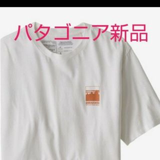 パタゴニア(patagonia)のパタゴニア　アルパインアイコン(Tシャツ/カットソー(半袖/袖なし))