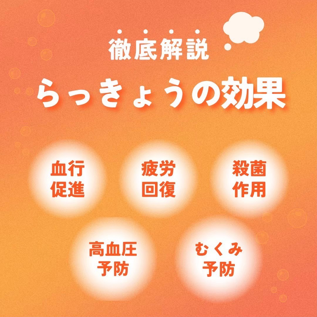 ピリ辛らっきょう 2袋 セール中 国産 漬物 らっきょう 上沖産業 送料無料  食品/飲料/酒の加工食品(漬物)の商品写真