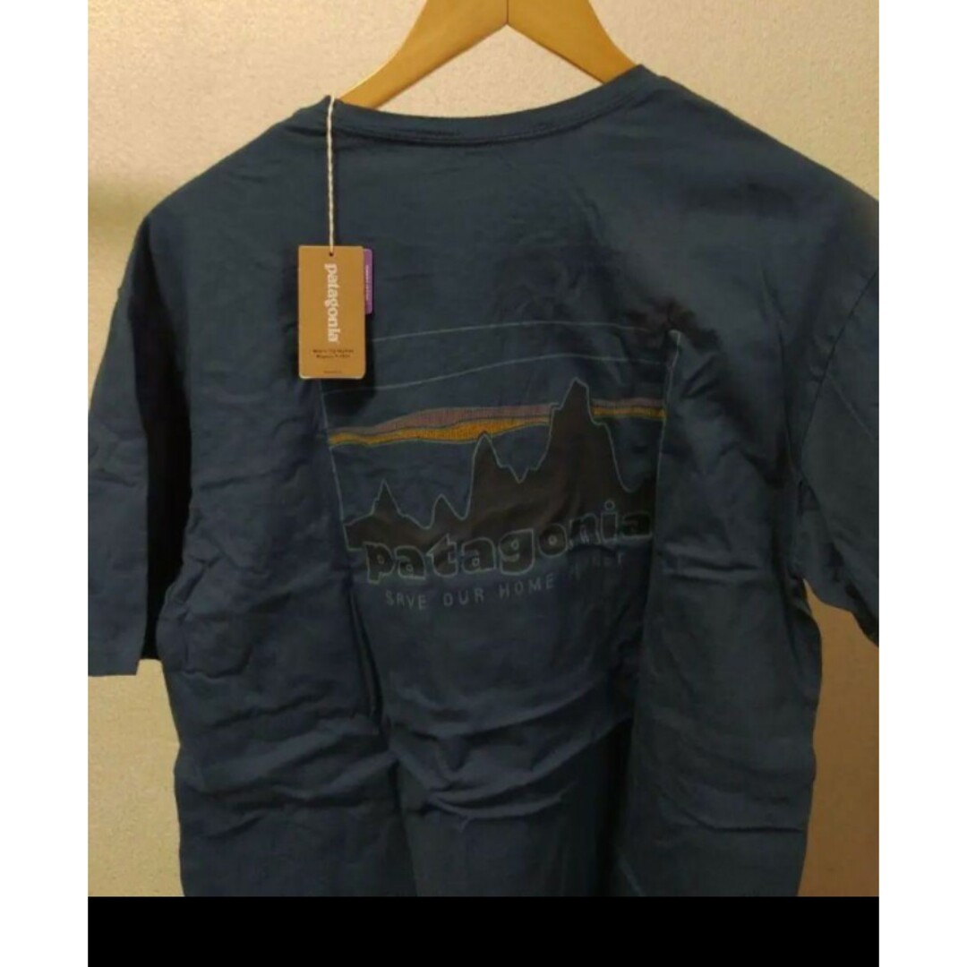 patagonia(パタゴニア)の73 スカイライン オーガニック Tシャツ メンズのトップス(Tシャツ/カットソー(半袖/袖なし))の商品写真