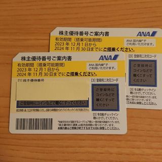 エーエヌエー(ゼンニッポンクウユ)(ANA(全日本空輸))のANA　株主優待券　2枚セット(その他)