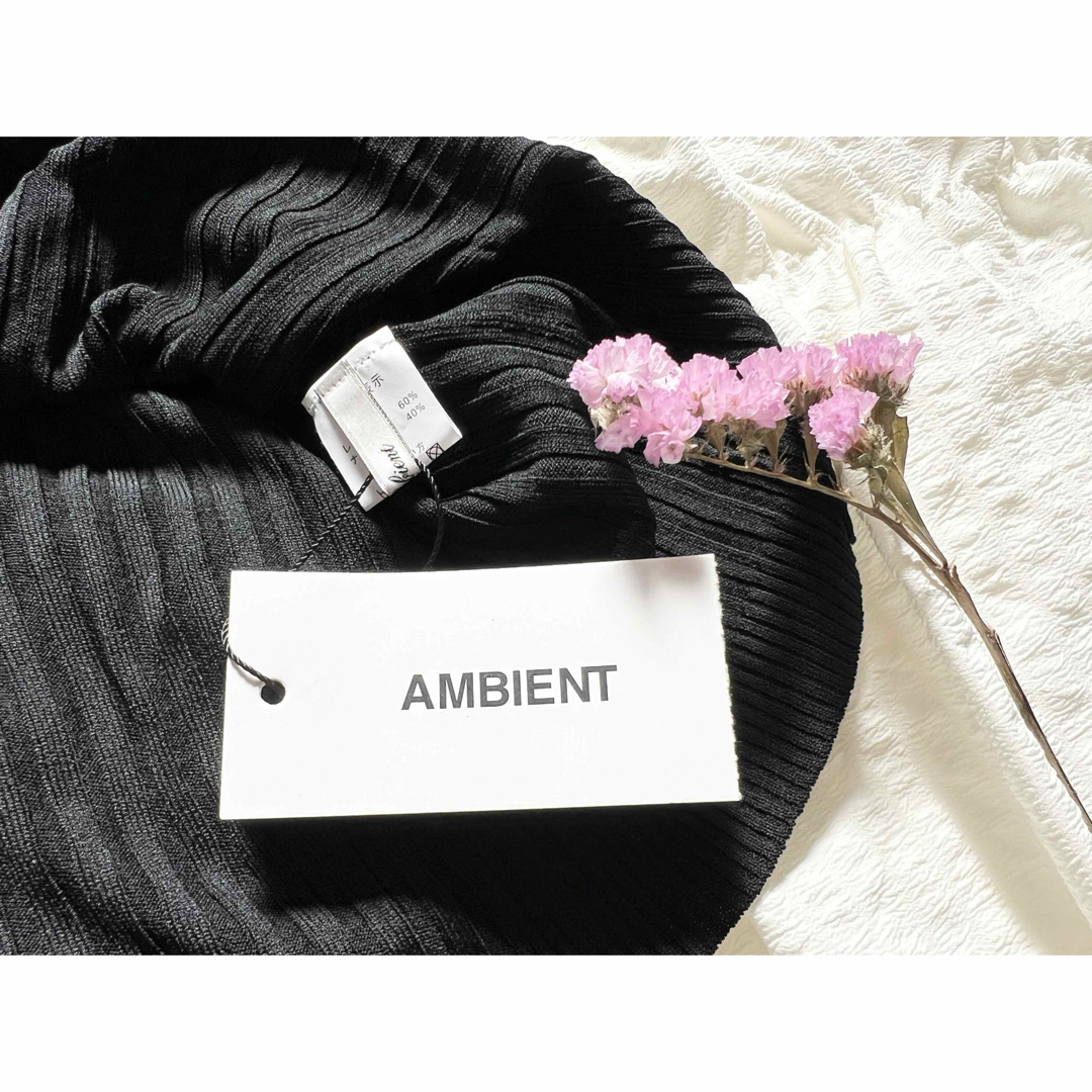 AMBIENT(アンビエント)の【新品タグ付き】AMBIENTシースルーレースブラックカットソー半袖 春夏服 レディースのトップス(Tシャツ(半袖/袖なし))の商品写真