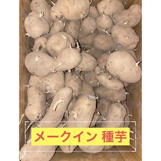 北海道産 訳あり メークイン 種芋 S 〜 2L サイズ 4kg(その他)