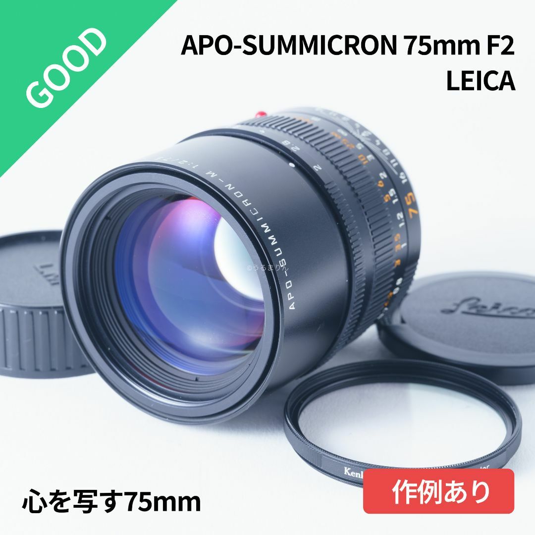 LEICA(ライカ)の心を写す75mm！美品 Leica APO-SUMMICRON 75mm F2 スマホ/家電/カメラのカメラ(レンズ(単焦点))の商品写真