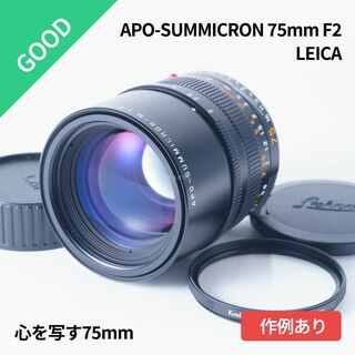ライカ(LEICA)の心を写す75mm！美品 Leica APO-SUMMICRON 75mm F2(レンズ(単焦点))