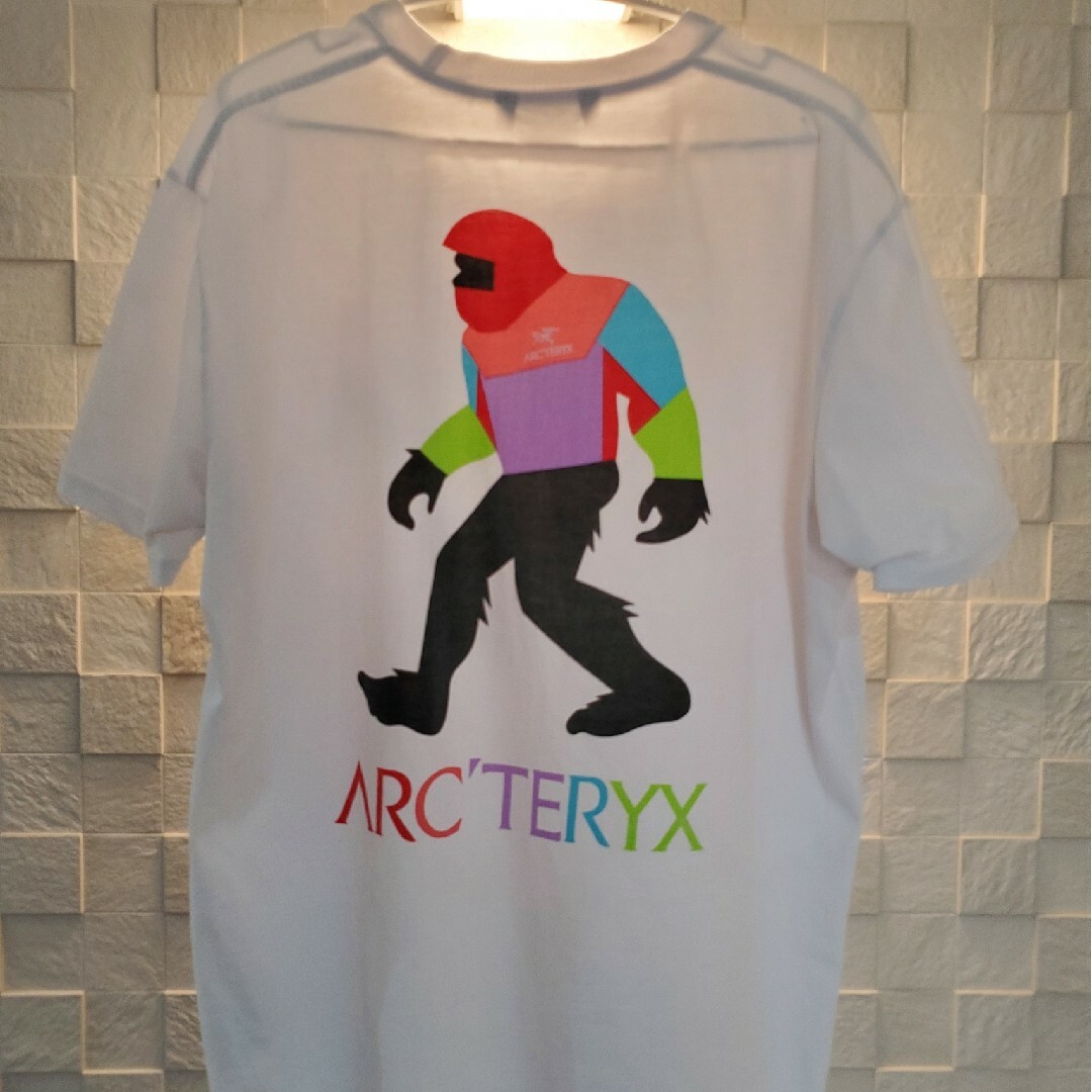 ARC'TERYX(アークテリクス)のARC'TERYX　アークテリクス　ビックフット　Tシャツ メンズのトップス(Tシャツ/カットソー(半袖/袖なし))の商品写真