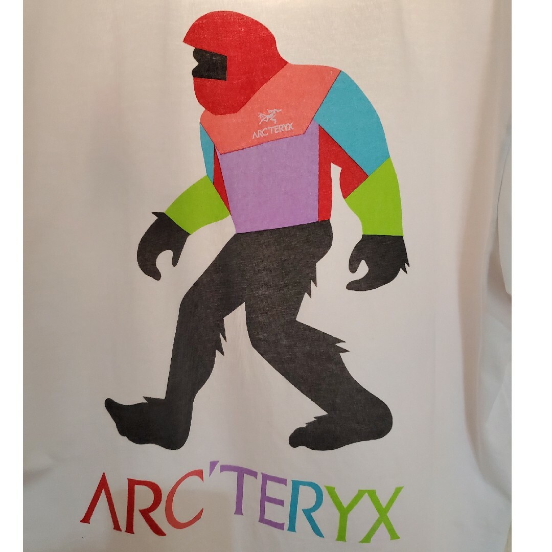 ARC'TERYX(アークテリクス)のARC'TERYX　アークテリクス　ビックフット　Tシャツ メンズのトップス(Tシャツ/カットソー(半袖/袖なし))の商品写真
