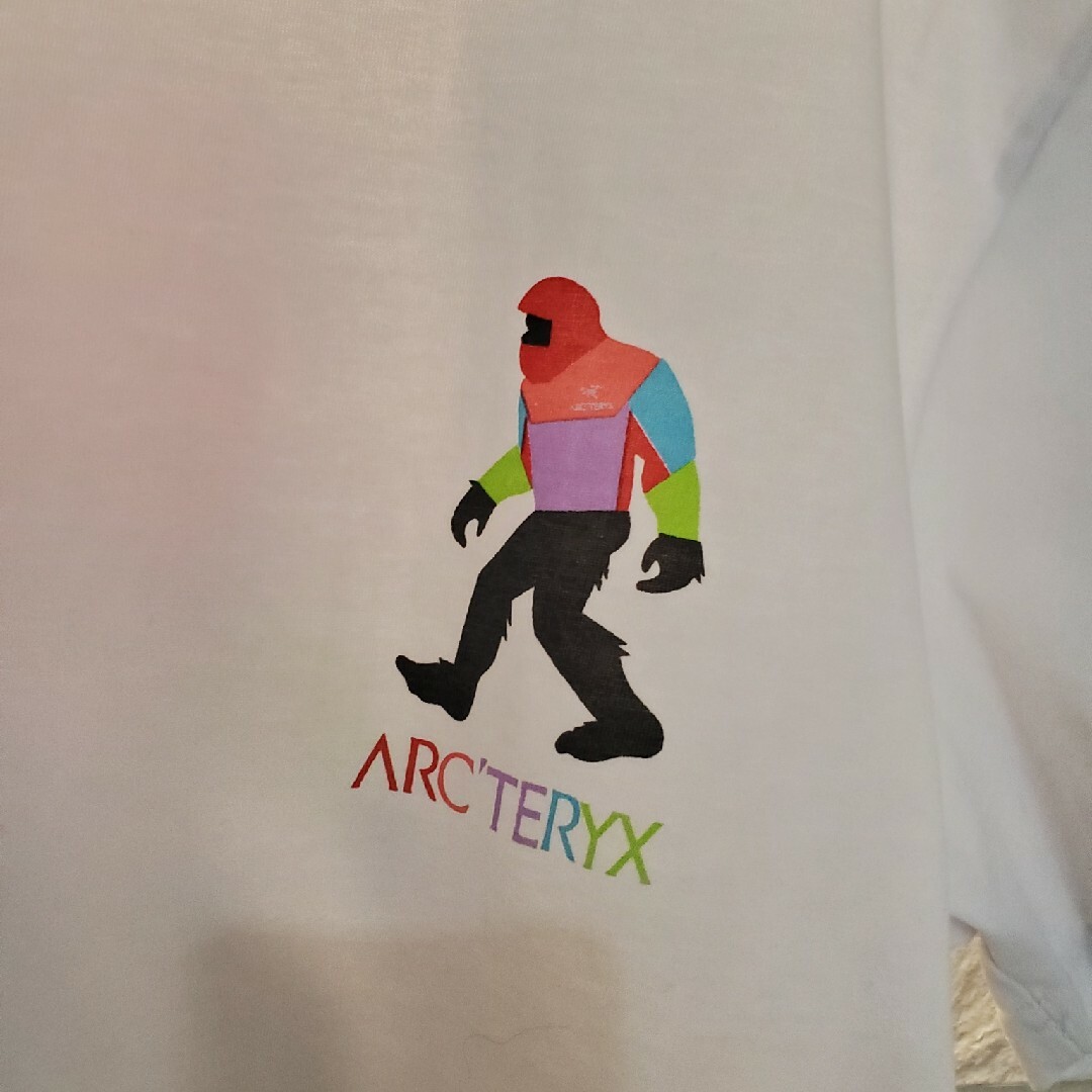 ARC'TERYX(アークテリクス)のARC'TERYX　アークテリクス　ビックフット　Tシャツ メンズのトップス(Tシャツ/カットソー(半袖/袖なし))の商品写真