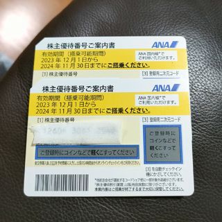 ANA 株主優待券 2枚(その他)