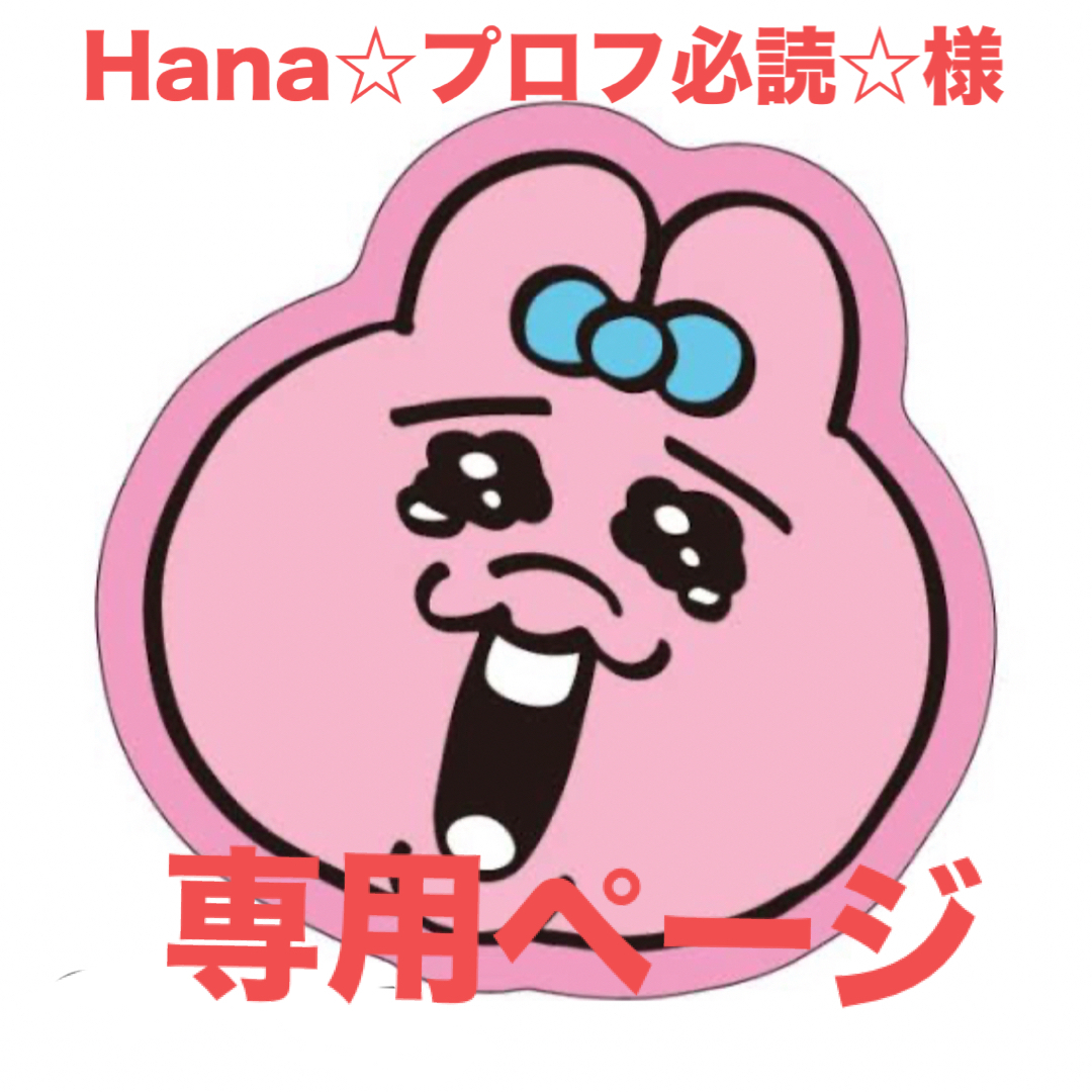 Hana☆プロフ必読☆様専用ページ ハンドメイドの素材/材料(生地/糸)の商品写真