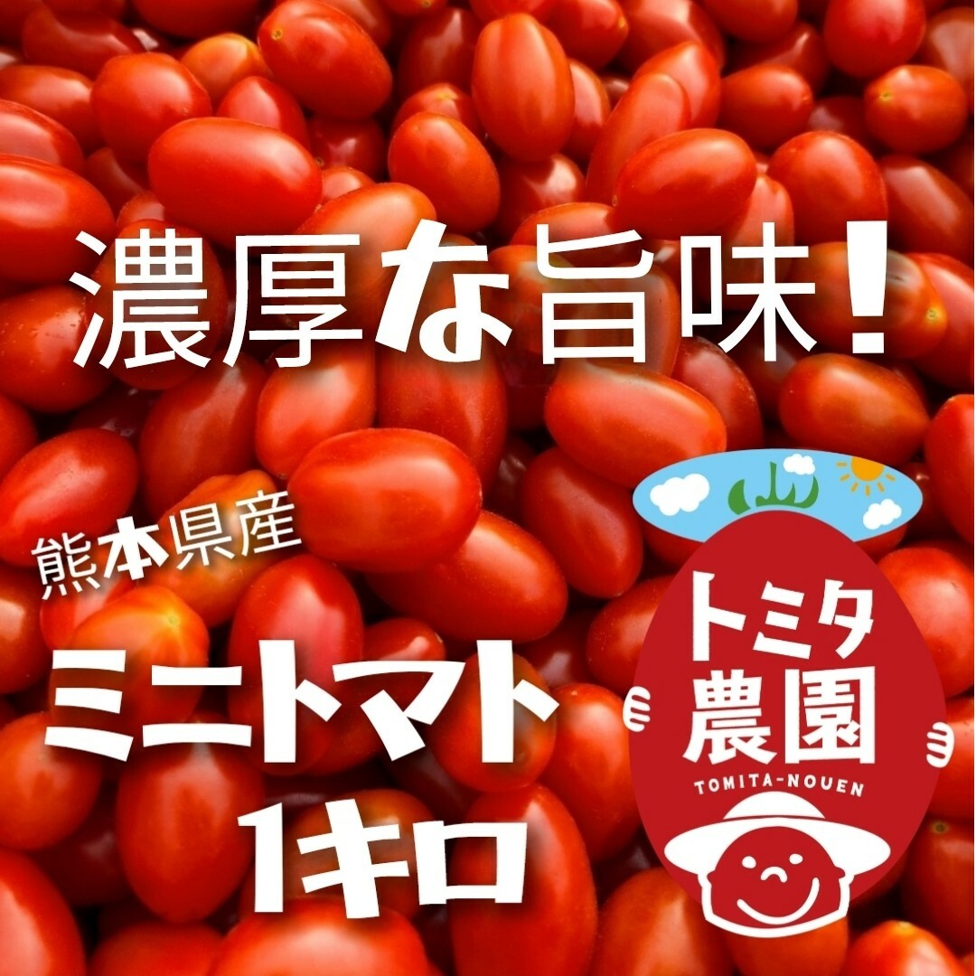 熊本県産ミニトマト「茜とまと1キロ」 食品/飲料/酒の食品(野菜)の商品写真