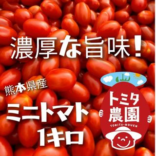 熊本県産ミニトマト「茜とまと1キロ」(野菜)