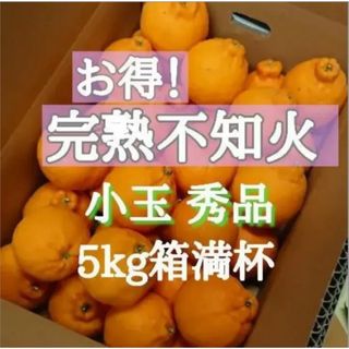 お得！完熟不知火 小玉秀品 5kg箱満杯(フルーツ)