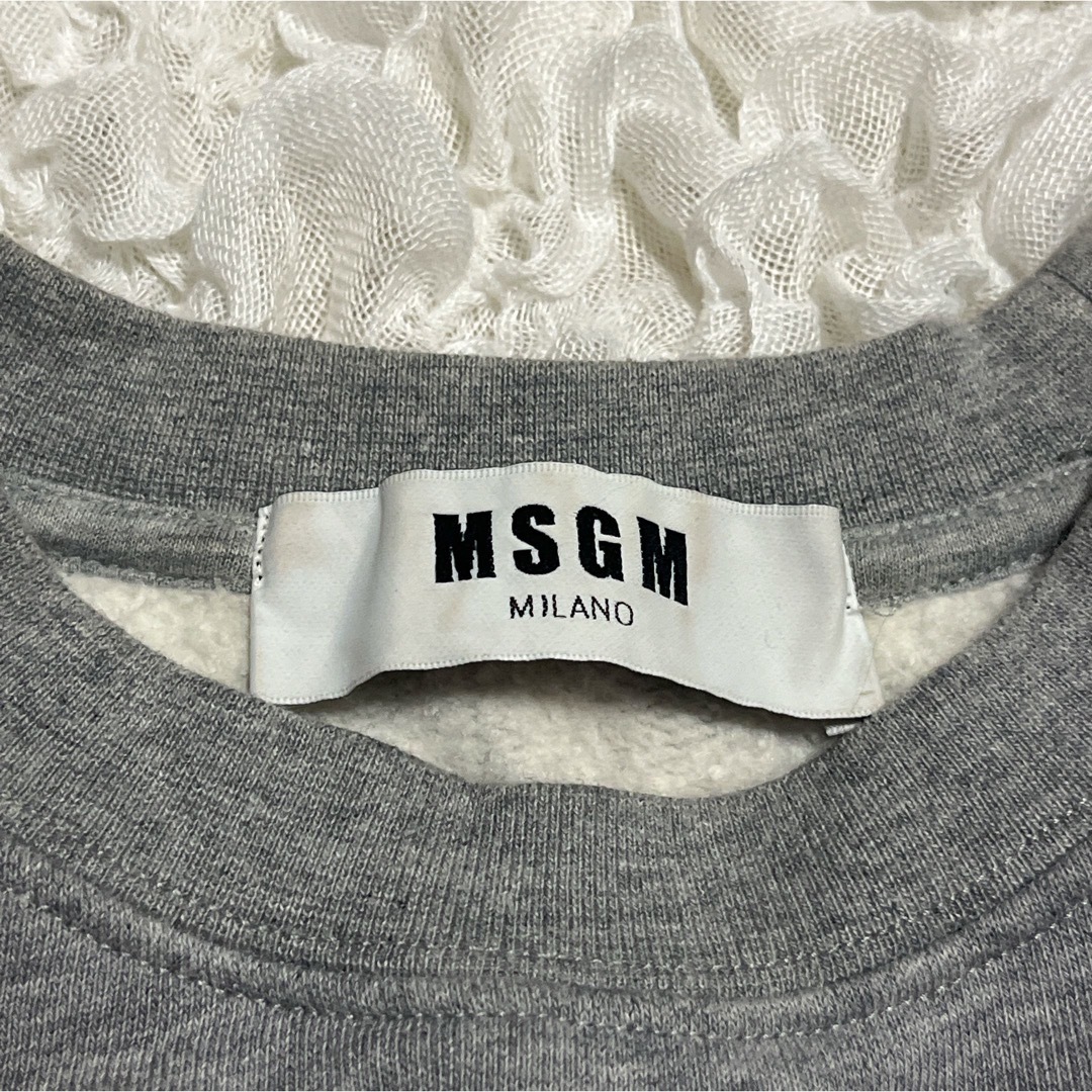 MSGM(エムエスジイエム)のMSGM  ロゴトレーナー　スウェット　エムエスジイエム　グレー　裏起毛  ロゴ レディースのトップス(トレーナー/スウェット)の商品写真