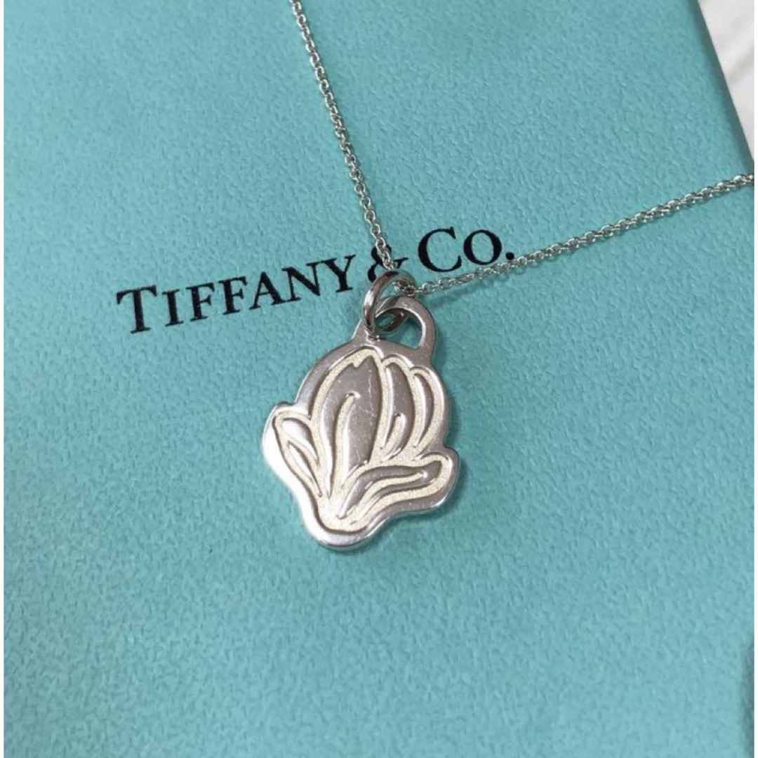 Tiffany & Co.(ティファニー)の美品　ティファニーネックレス　GO WOMEN 2019 SV925 レディースのアクセサリー(ネックレス)の商品写真