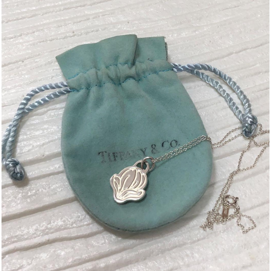 美品 ティファニーネックレス GO WOMEN 2019 SV925 美品 ティファニーネックレス GO WOMEN 2019 SV925