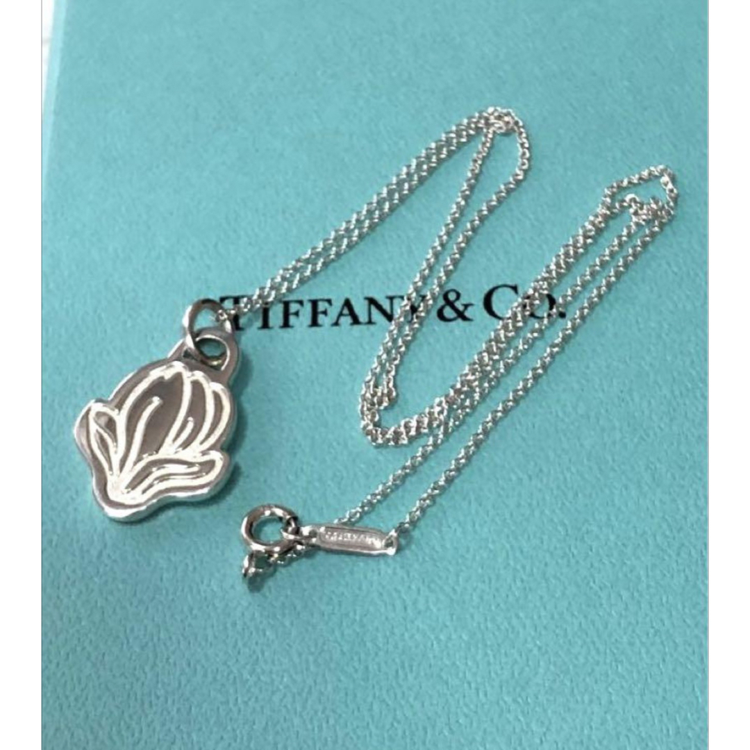 Tiffany & Co.(ティファニー)の美品　ティファニーネックレス　GO WOMEN 2019 SV925 レディースのアクセサリー(ネックレス)の商品写真