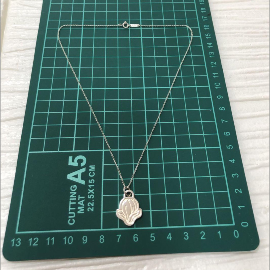 Tiffany & Co.(ティファニー)の美品　ティファニーネックレス　GO WOMEN 2019 SV925 レディースのアクセサリー(ネックレス)の商品写真