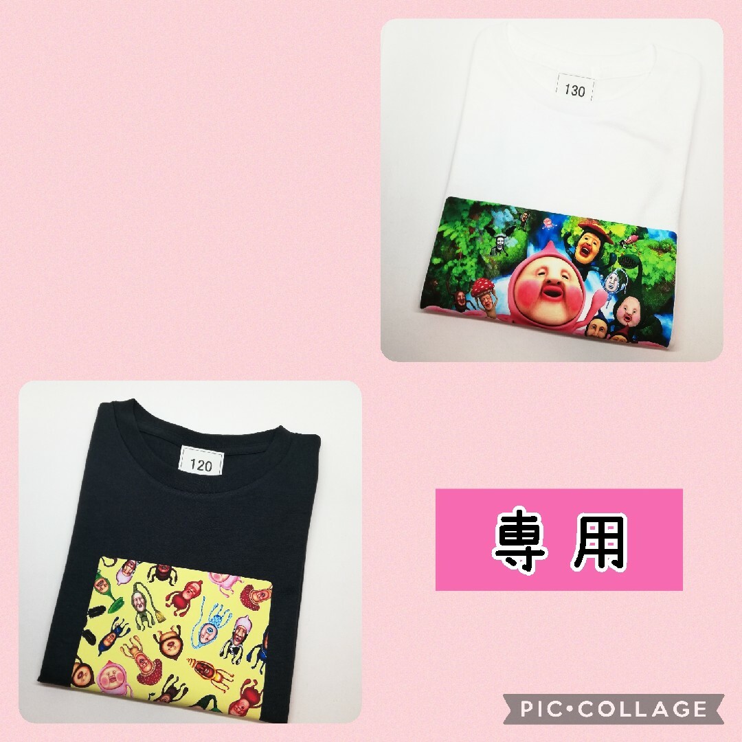 グレー☆様専用 キッズ Tシャツ 半袖 こびとづかん 2枚 エンタメ/ホビーのアニメグッズ(その他)の商品写真