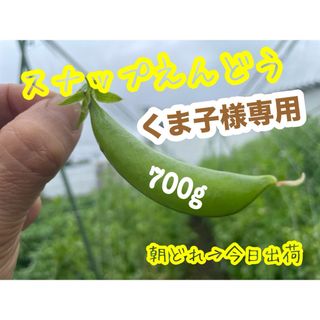 スナップエンドウ　くま子様専用(野菜)