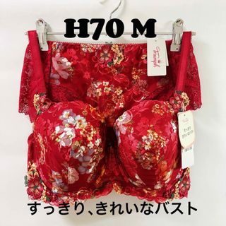 トリンプ(Triumph)のトリンププレミアム レッドレーベル 0082 ブラジャー&ショーツ(ブラ&ショーツセット)