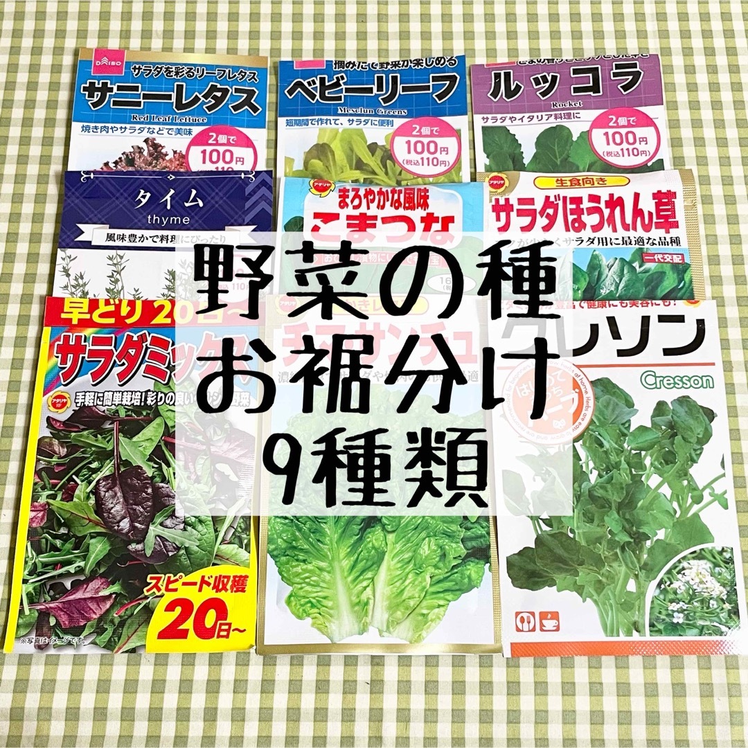 野菜の種 お裾分け 9種類 各20粒＋α 食品/飲料/酒の食品(野菜)の商品写真