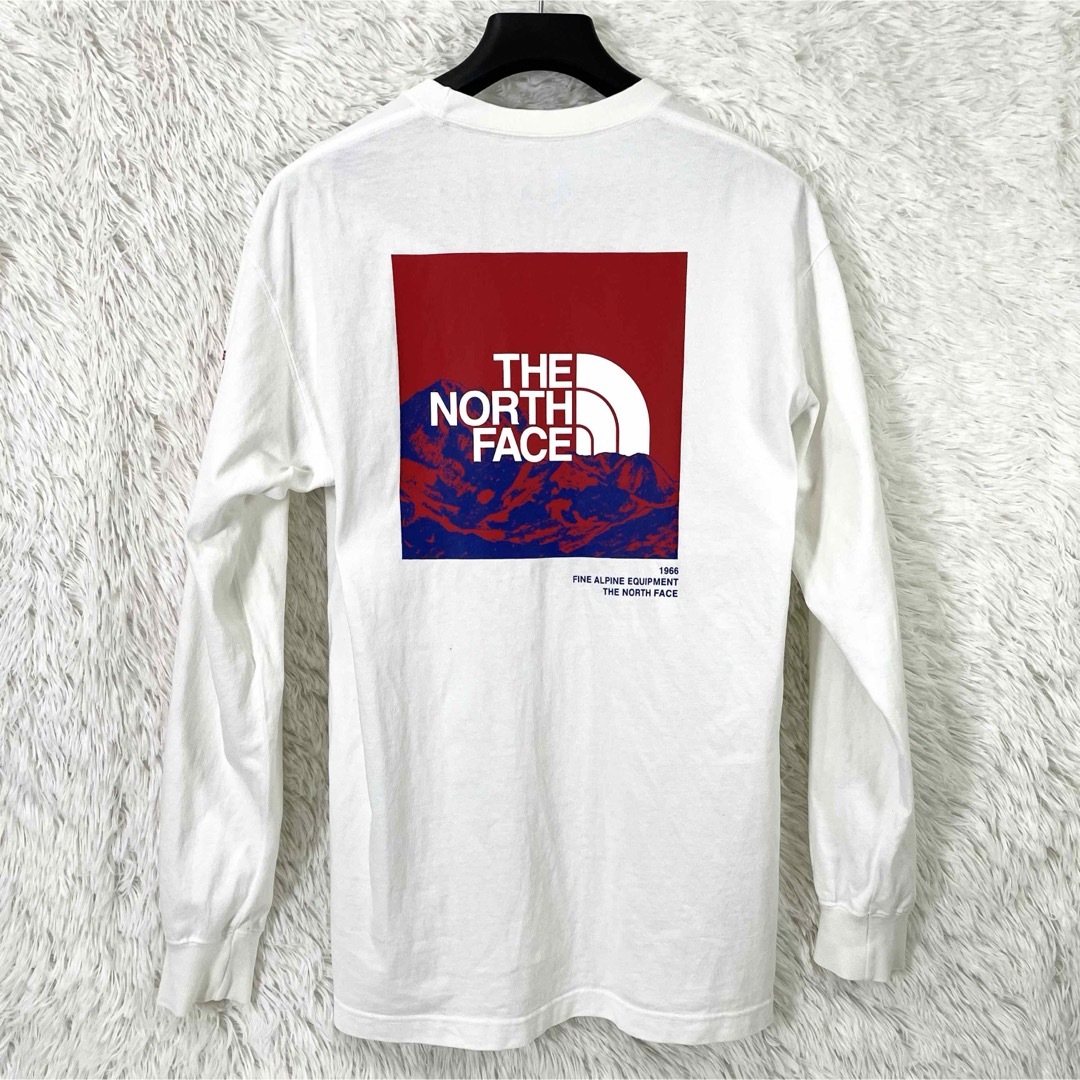 THE NORTH FACE(ザノースフェイス)のTHE NORTH FACE L/S SLEEVE GRAPHIC TEE メンズのトップス(Tシャツ/カットソー(七分/長袖))の商品写真