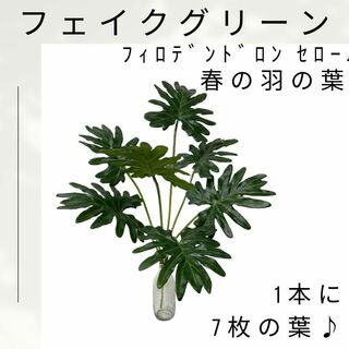【大特価♪】フェイクグリーン　セローム　70㎝　１本 観葉植物 人工　葉っぱ(その他)