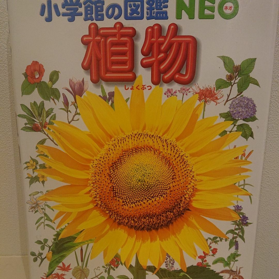 小学館の図鑑NEO 植物  エンタメ/ホビーの本(絵本/児童書)の商品写真