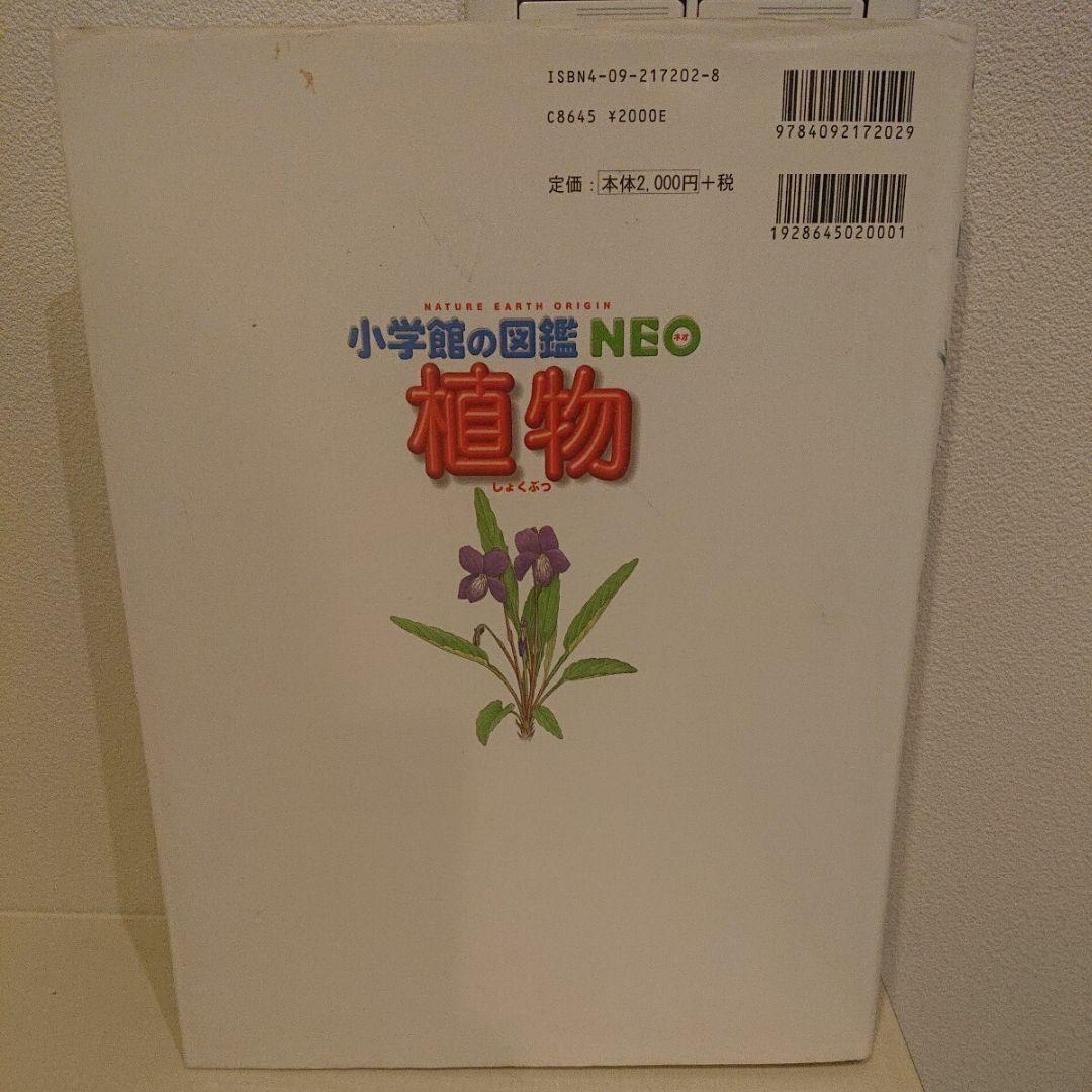 小学館の図鑑NEO 植物  エンタメ/ホビーの本(絵本/児童書)の商品写真